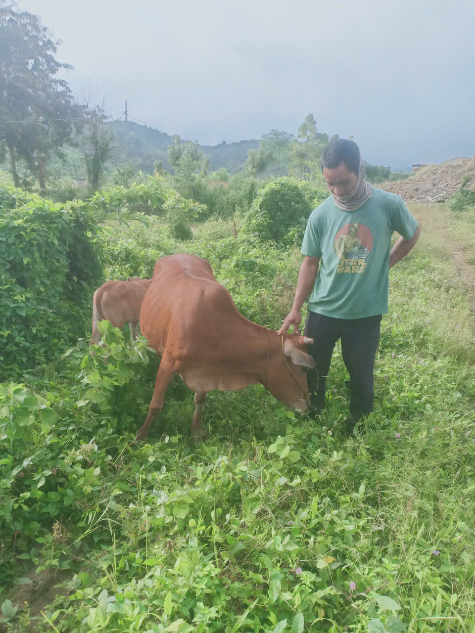 Hội Liên hiệp phụ nữ xã Ea R'bin phát huy tốt vai trò hoạt động ủy thác vốn vay từ ngân hàng Chính sách xã hội